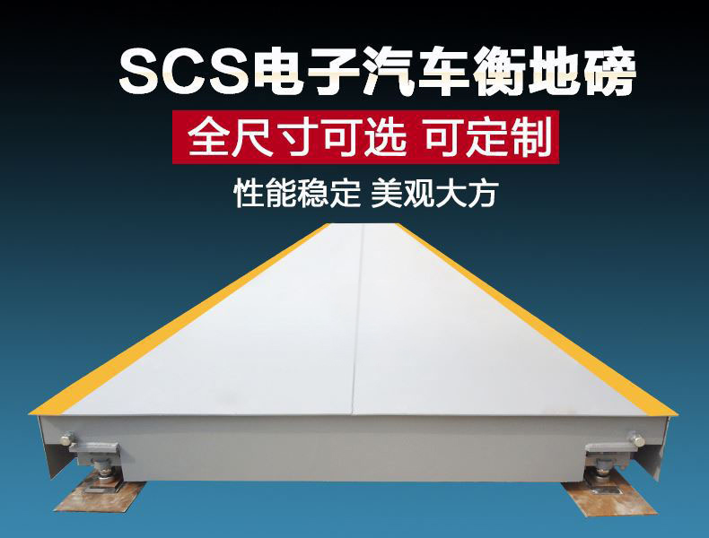 數字式電子地磅